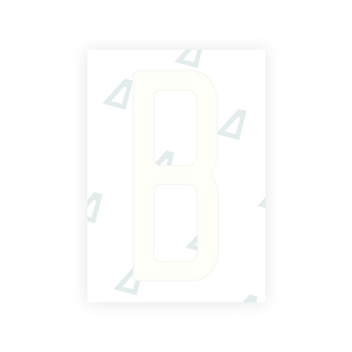 Alite Nanofilm for US (Washington State 2010) license plates - Symbol "B"