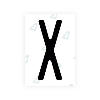 Alite Nanofilm for US (Washington State 2010) license plates - Symbol "X"