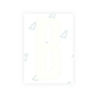Alite Nanofilm for US (Wyoming 2008) license plates - Symbol "B"