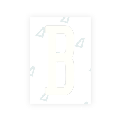 Alite Nanofilm for US (Arizona 2008) license plates - Symbol "B" - Alite