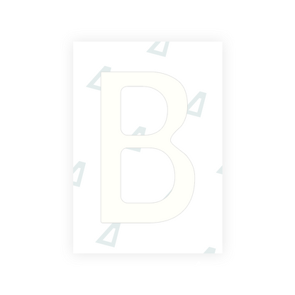 Alite Nanofilm for Chile 2014 license plates - Symbol "B" - Alite