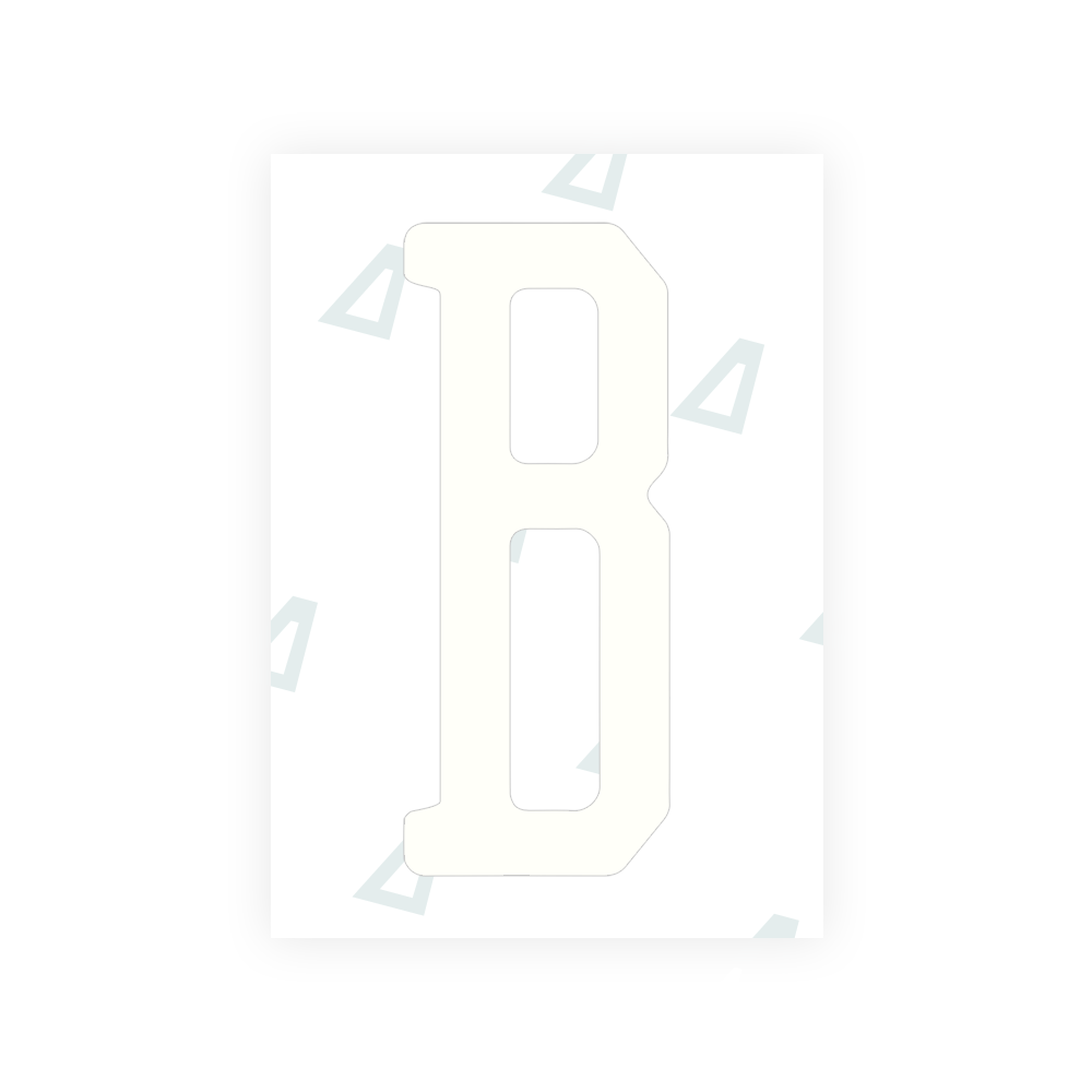 Alite Nanofilm for US (Florida 2019) license plates - Symbol "B" - Alite
