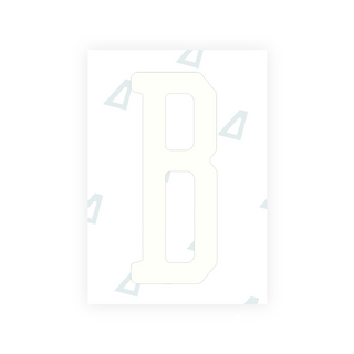anti radar sticker buy online