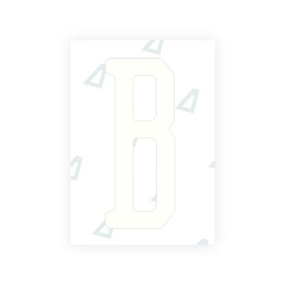Alite Nanofilm for US (Florida 2019) license plates - Symbol "B" - Alite