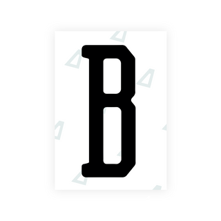 Alite Nanofilm for US (Florida 2019) license plates - Symbol "B" - Alite