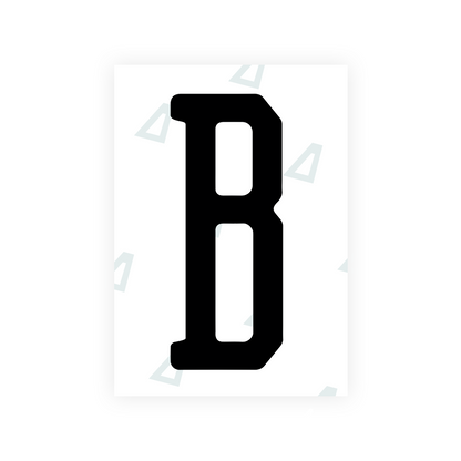 Alite Nanofilm for US (Florida 2019) license plates - Symbol "B" - Alite