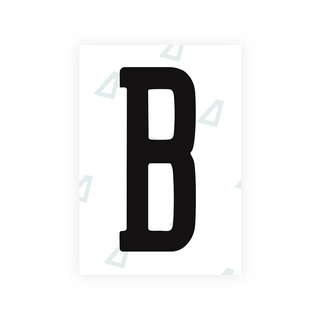 Alite Nanofilm for US (Arizona 2008) license plates - Symbol "B" - Alite