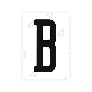 Alite Nanofilm for US (Montana) license plates - Symbol "B"