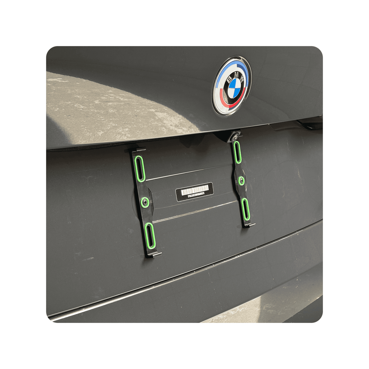 frameless holder for license plates