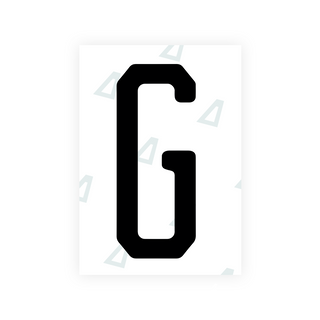 Alite Nanofilm for US (Florida 2019) license plates - Symbol "G" - Alite
