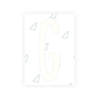 Alite Nanofilm for US (New York 2020 - Flat) license plates - Symbol "G" - Alite