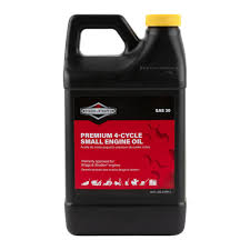 Briggs & Stratton 4-Takt-Motorenöl 100028