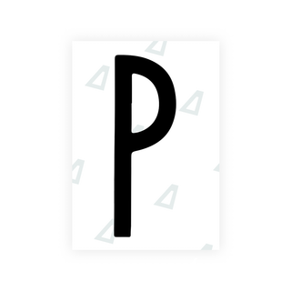Alite Nanofilm for US (New York 2020 - Flat) license plates - Symbol "P" - Alite