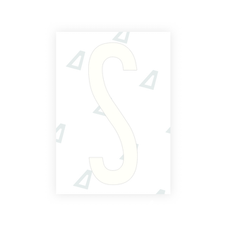 Alite Nanofilm for US (New York 2020 - Flat) license plates - Symbol "S" - Alite