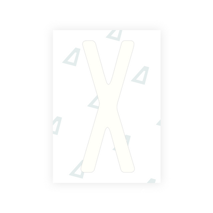 Alite Nanofilm for US (Florida 2019) license plates - Symbol "X" - Alite