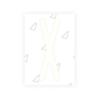 Alite Nanofilm for US (New York 2020) license plates - Symbol "X" - Alite