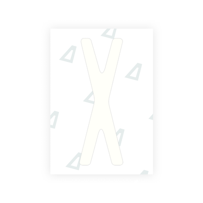 Alite Nanofilm for US (New York 2020) license plates - Symbol "X" - Alite