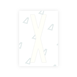Alite Nanofilm for US (New York 2020 - Flat) license plates - Symbol "X" - Alite