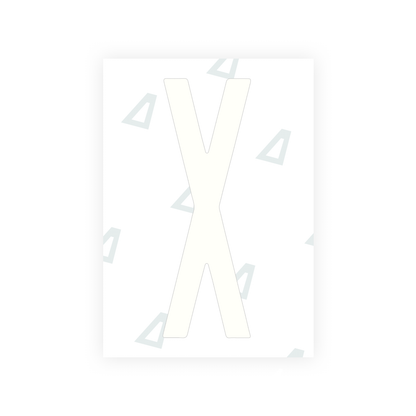 Alite Nanofilm for US (New York 2020 - Flat) license plates - Symbol "X" - Alite