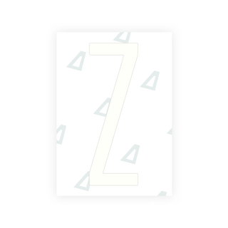 Alite Nanofilm for US (New York 2020 - Flat) license plates - Symbol "Z" - Alite