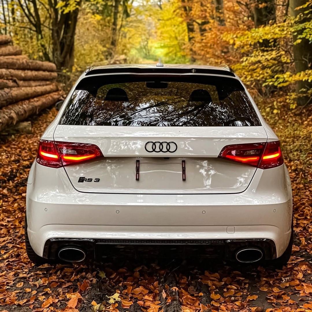 Frameless License Plate Holder™ - Alite